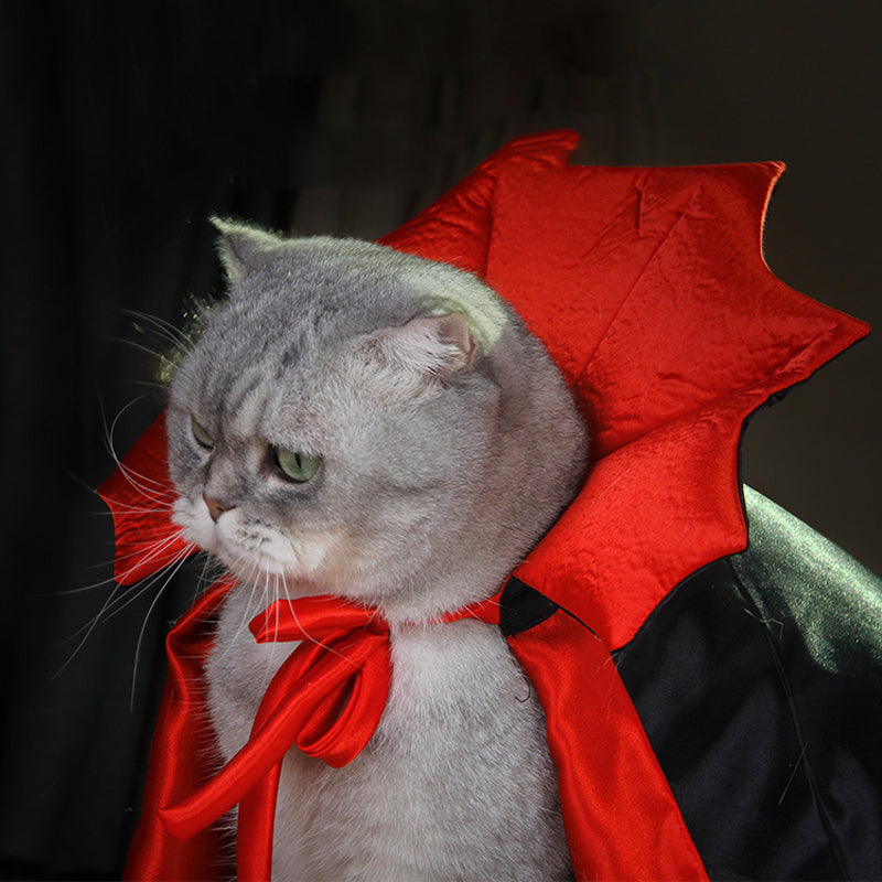 Halloween Dracula kjæledyrkostyme