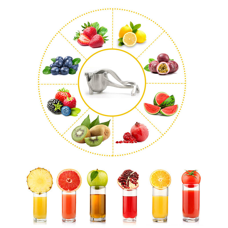 Frukt-Juice Presse