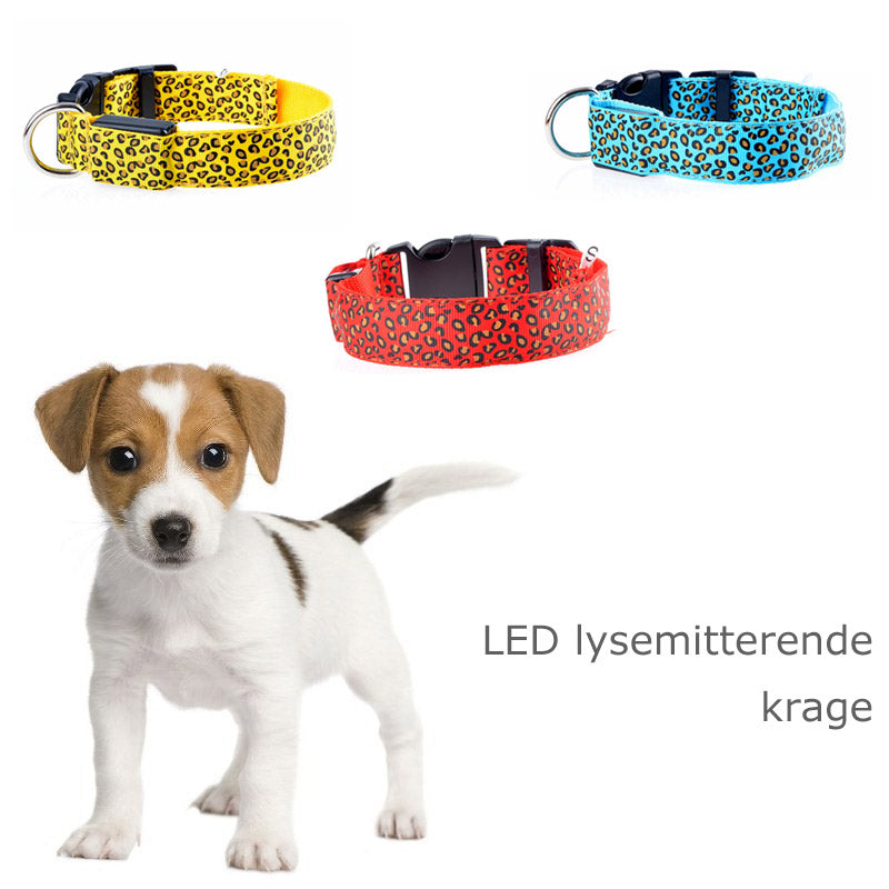 LED lysende hundehalsbånd