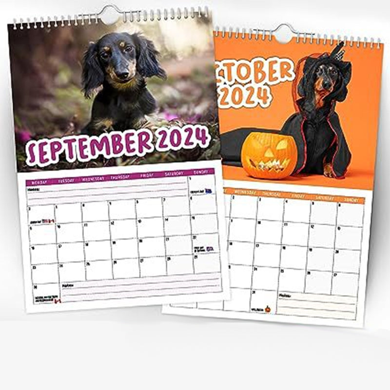 Cheeky Dachshunds - Veggkalender 2024