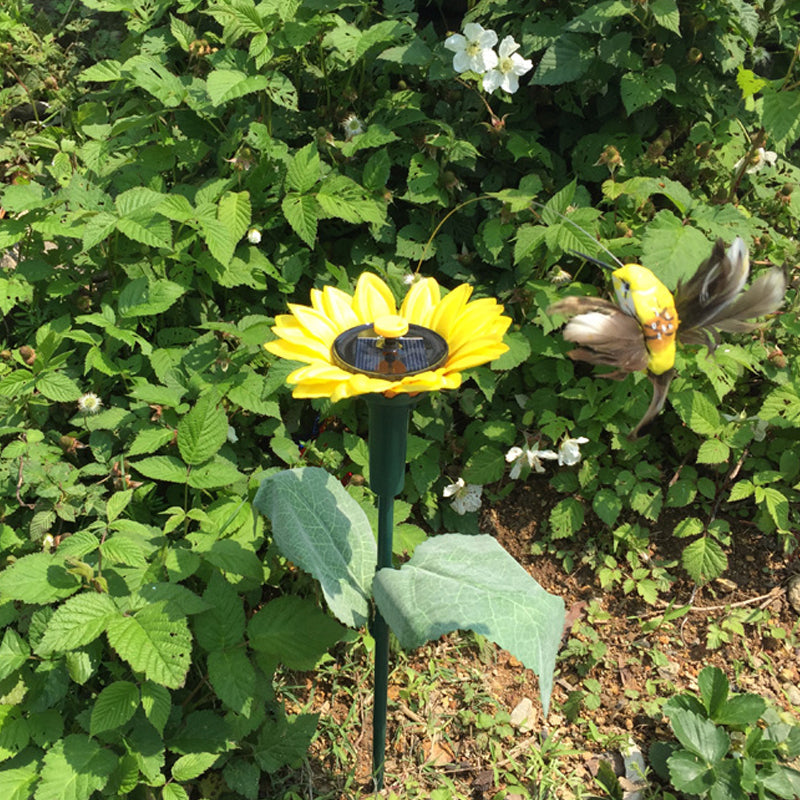 Dancing Hummingbird With Sunflower