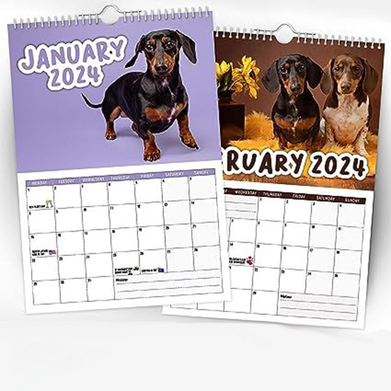 Cheeky Dachshunds - Veggkalender 2024