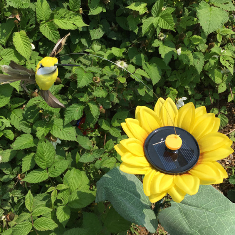 Dancing Hummingbird With Sunflower