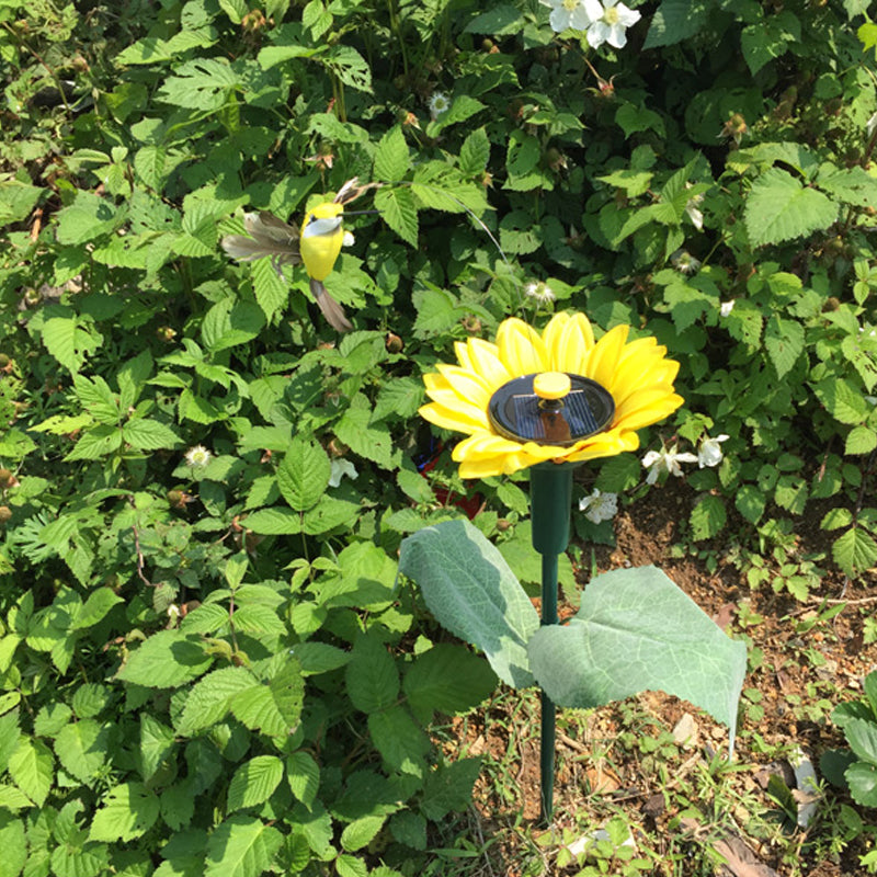 Dancing Hummingbird With Sunflower