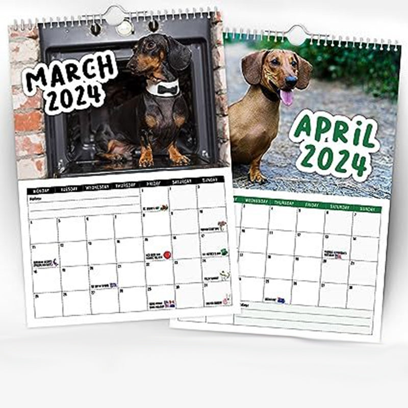 Cheeky Dachshunds - Veggkalender 2024