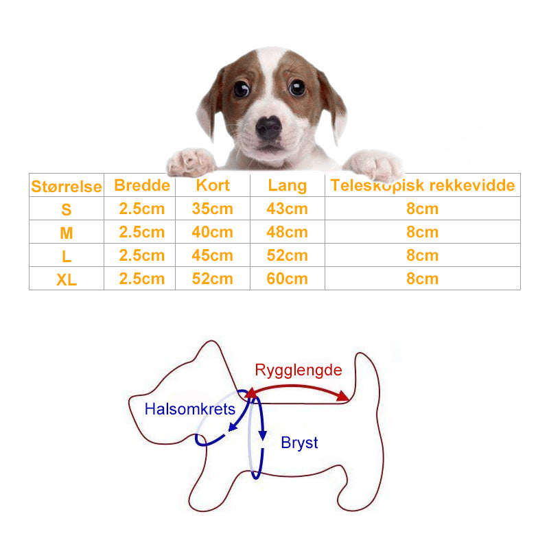 LED lysende hundehalsbånd