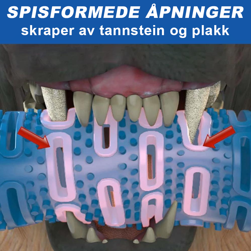 Hunde Tygge Tannbørste | Tenn rengjørings Leketøy