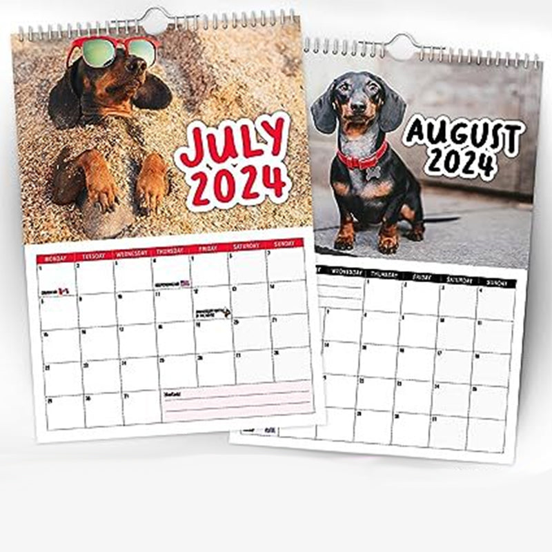 Cheeky Dachshunds - Veggkalender 2024