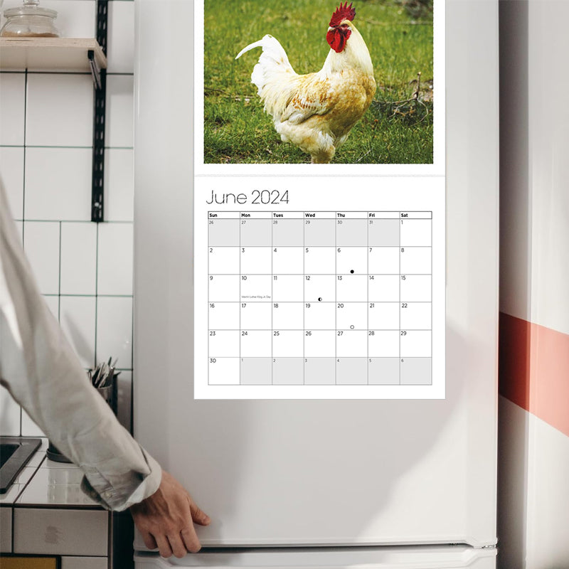 Big Cocks 2024 Veggkalender - En stilig samling av hanebilder