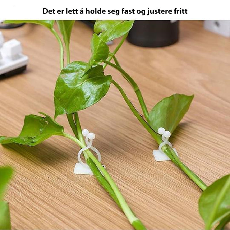 Klatreplante veggklemmer