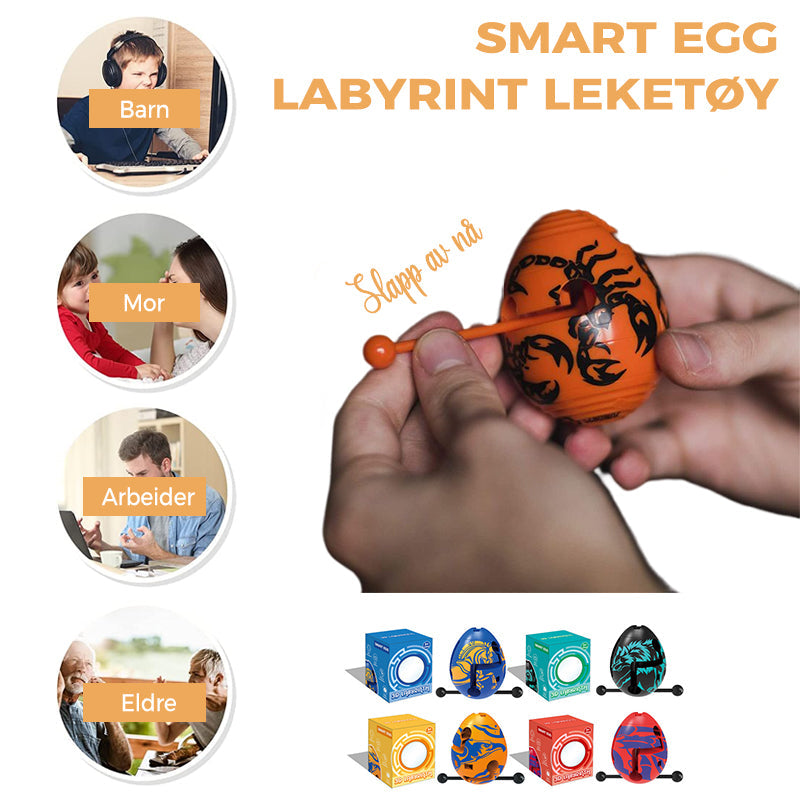 Smart Egg Space Capsule Puzzle