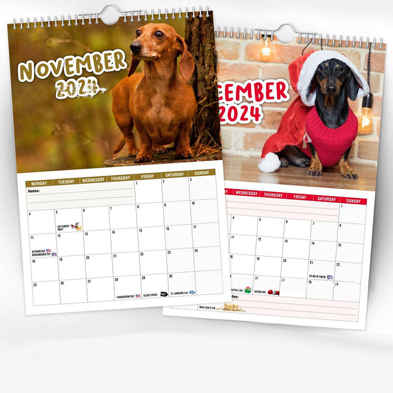 Cheeky Dachshunds - Veggkalender 2024