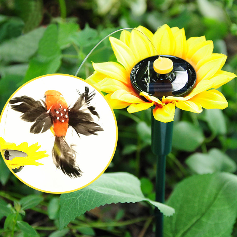 Dancing Hummingbird With Sunflower