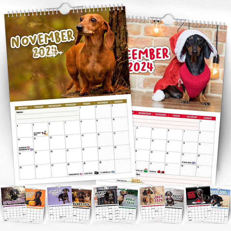 Cheeky Dachshunds - Veggkalender 2024