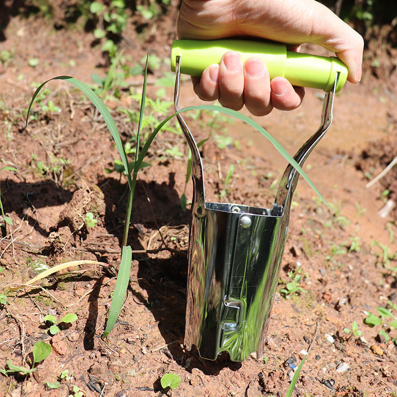 Enkel transplanter for frøplanter